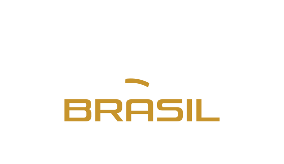 Logo grupo concesionaria