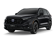 Preto Cristal Perolizado