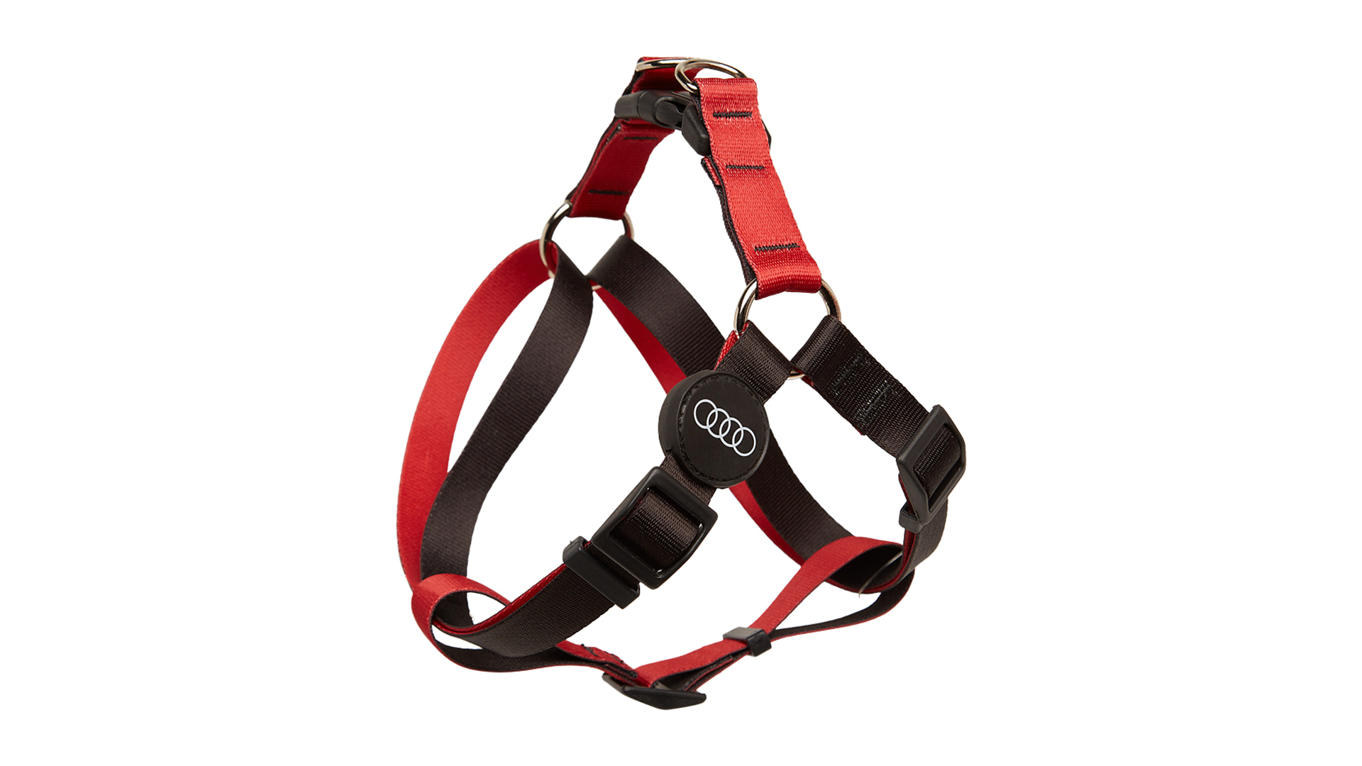 Coleira Audi Four rings