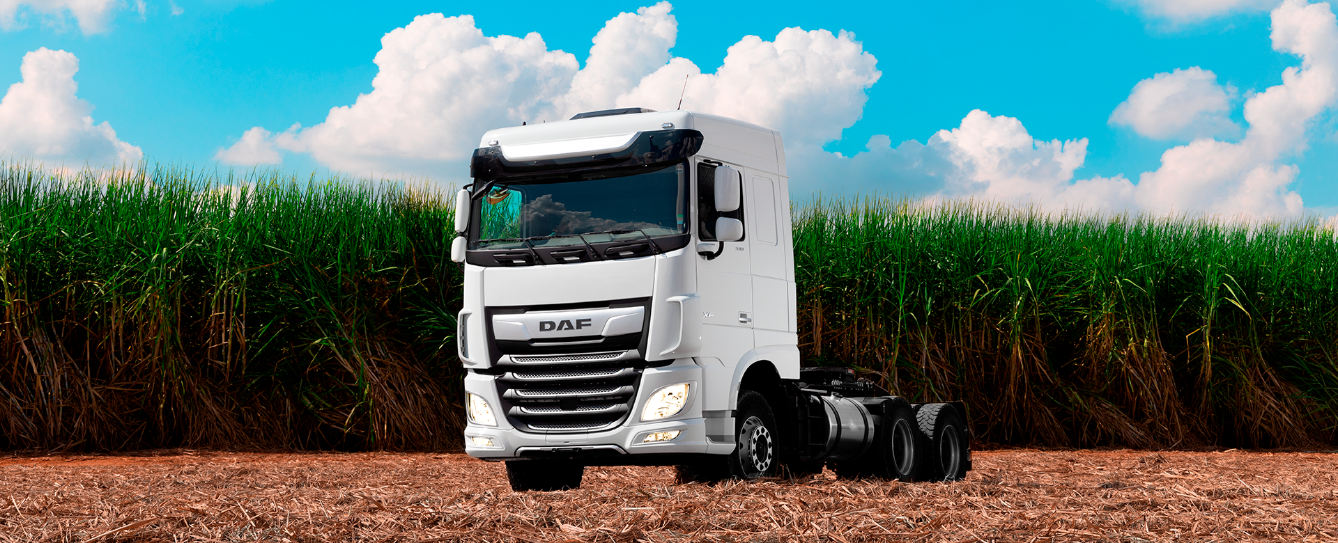 DAF CF Off-Road