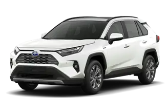 SX Connect Hybrid Branco Lunar