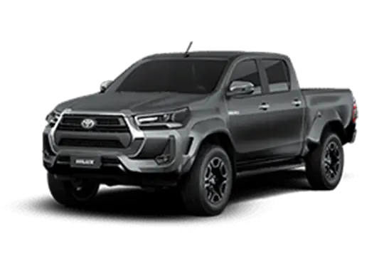 SRX Plus Cinza Granito