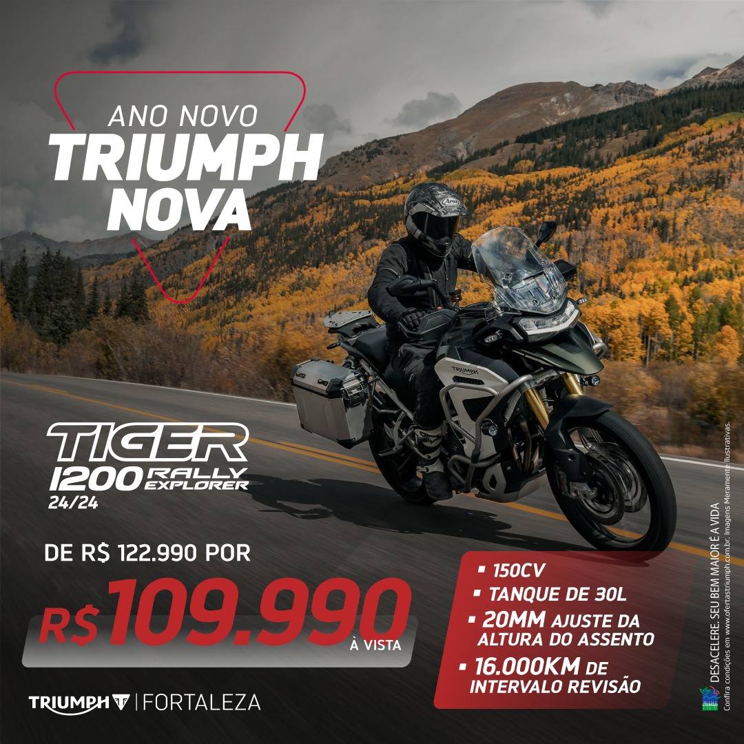 TIGER L200 RALLY EXPLORER