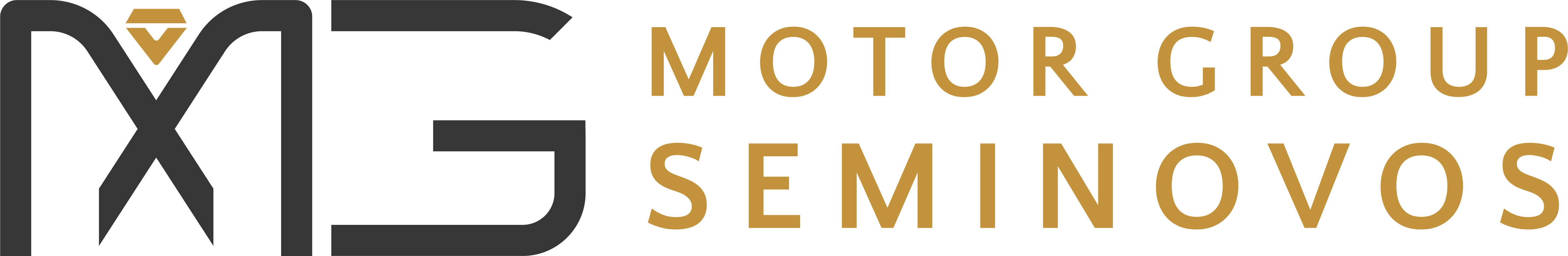 Header Logo Seminovos leopardo