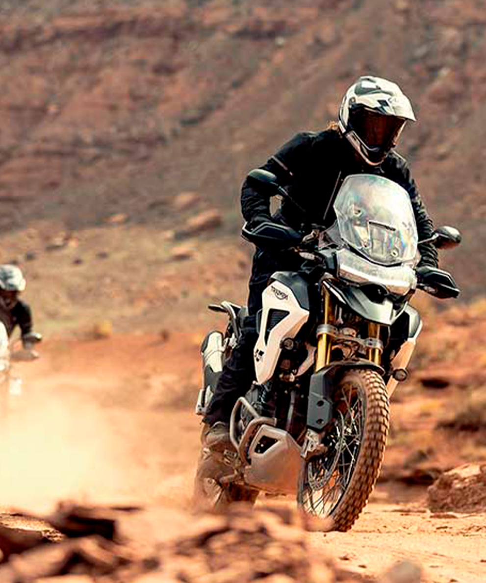 Tiger 1200 Rally Explorer