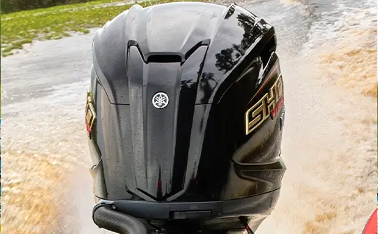 REVISÃO EM DIA, NÃO SE PREOCUPE COM MANUTENÇÃO