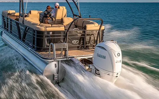 ELEGÂNCIA À PRIMEIRA VISTA