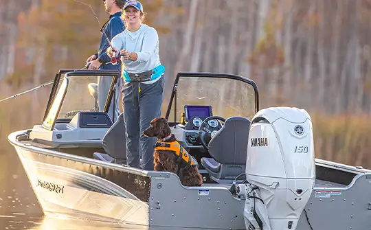 PERFORMANCE E BAIXO CONSUMO