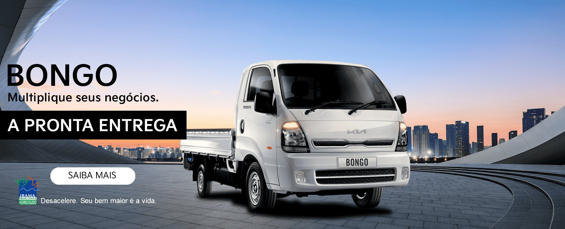 banner bongo - institucional