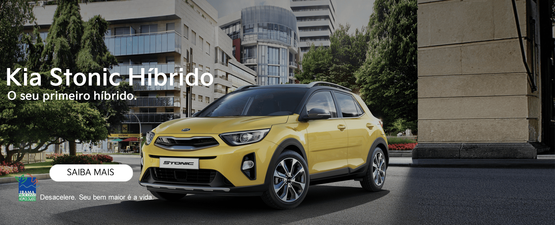 banner stonic - institucional