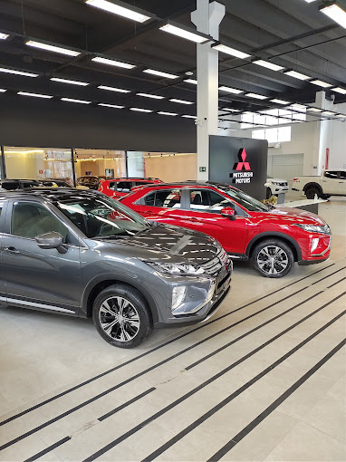 Pró Auto Mitnorth - Santos