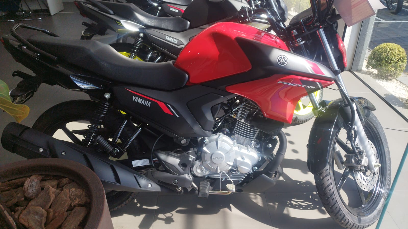 YBR 150 FACTOR DX FLEX