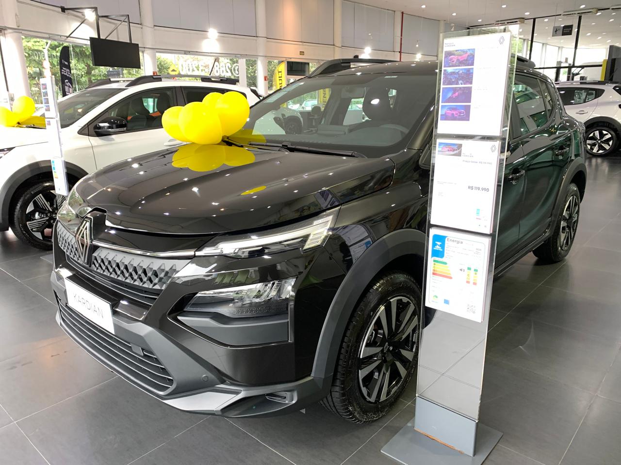 Kardian Evolut. Flex 1.0 TB 12V 5p Mec.