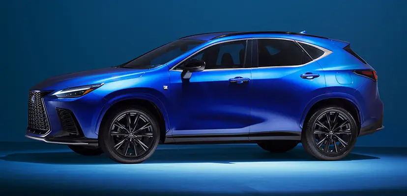 UMA FORMA DESLUMBRANTE