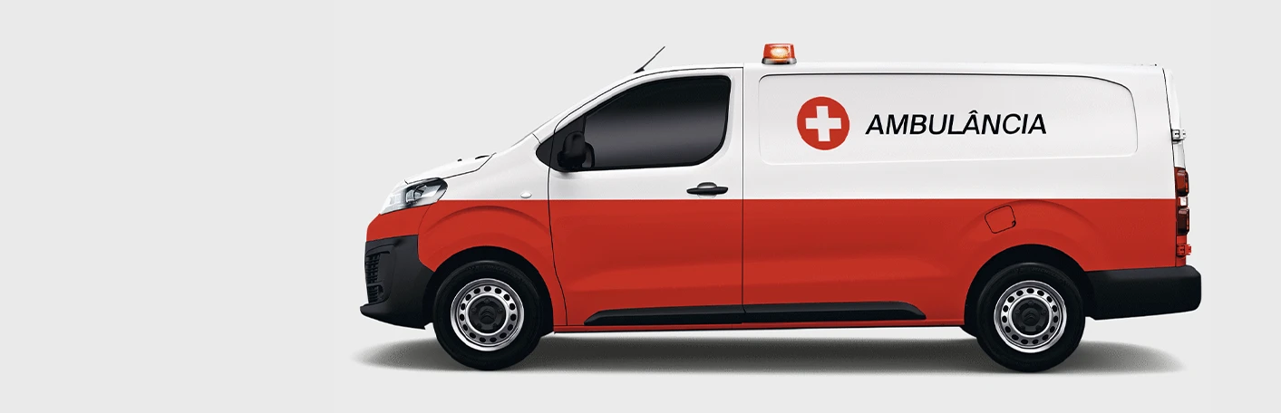 DE ACORDO COM A SUA PROFISSÃO