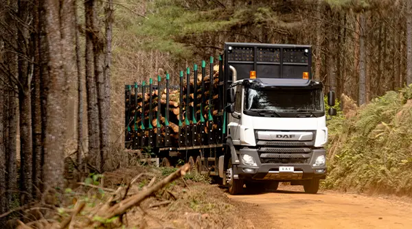 Conheça o Novo DAF CF Florestal