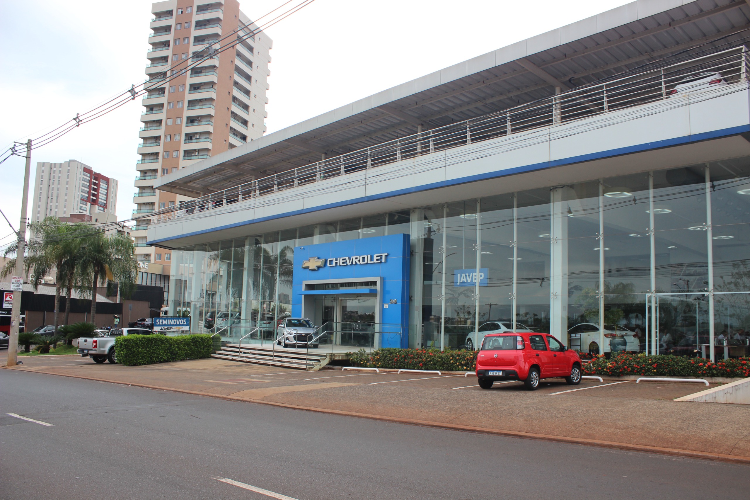 JAVEP - Ribeirão Preto