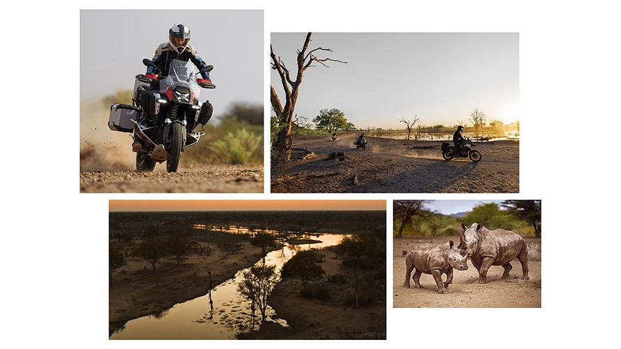 imagem Alcance seus objetivos