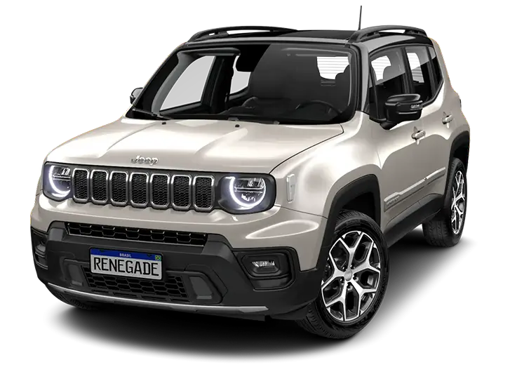 1.3 Turbo SLASH GOLD BICOLOR