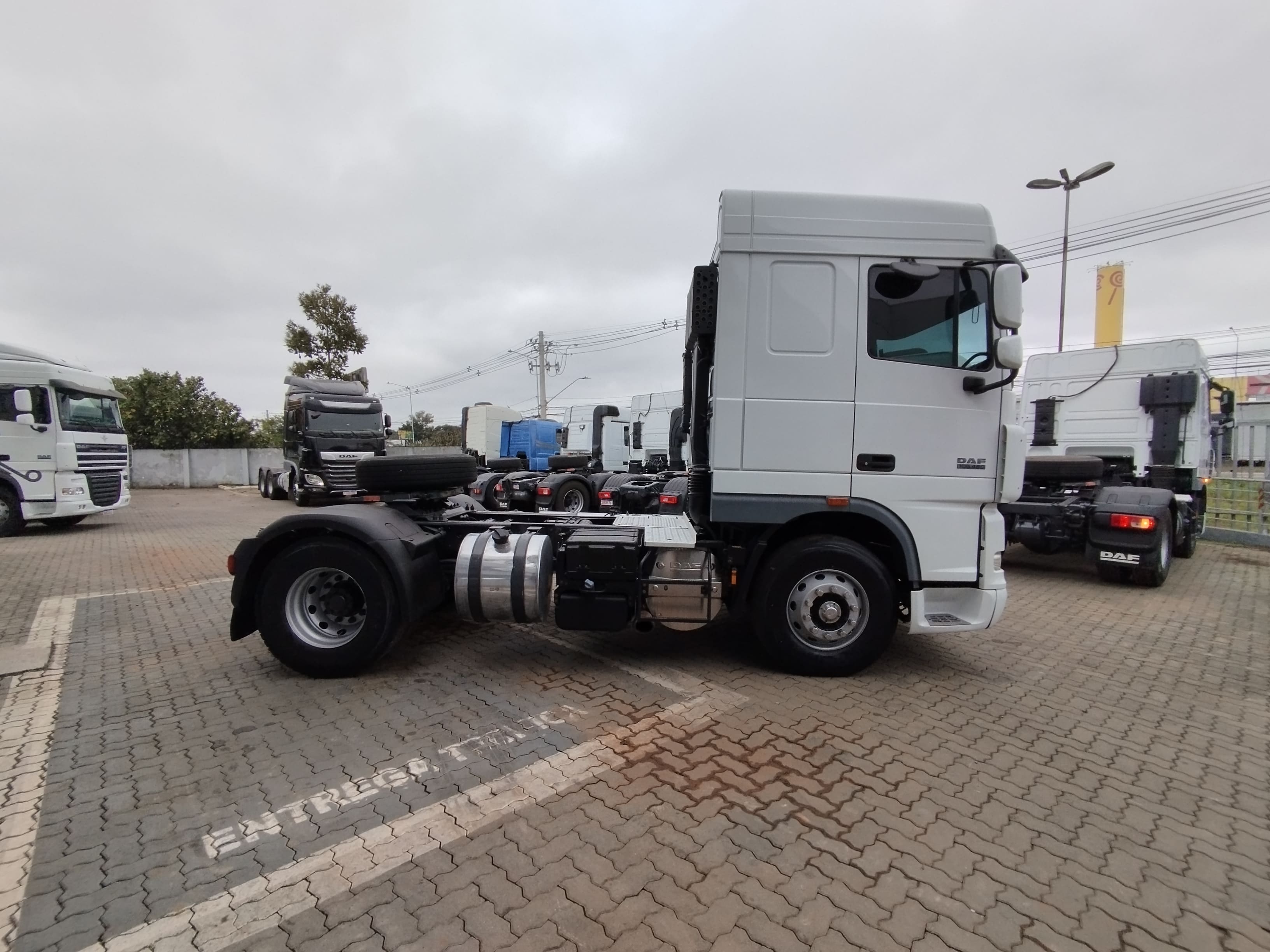 DAF-XF-XF 105 FT 460 4x2 (diesel)(E5)