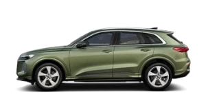 Thumb Q5 SUV