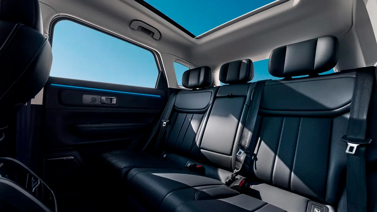 Imagem 1 da Galeria 1