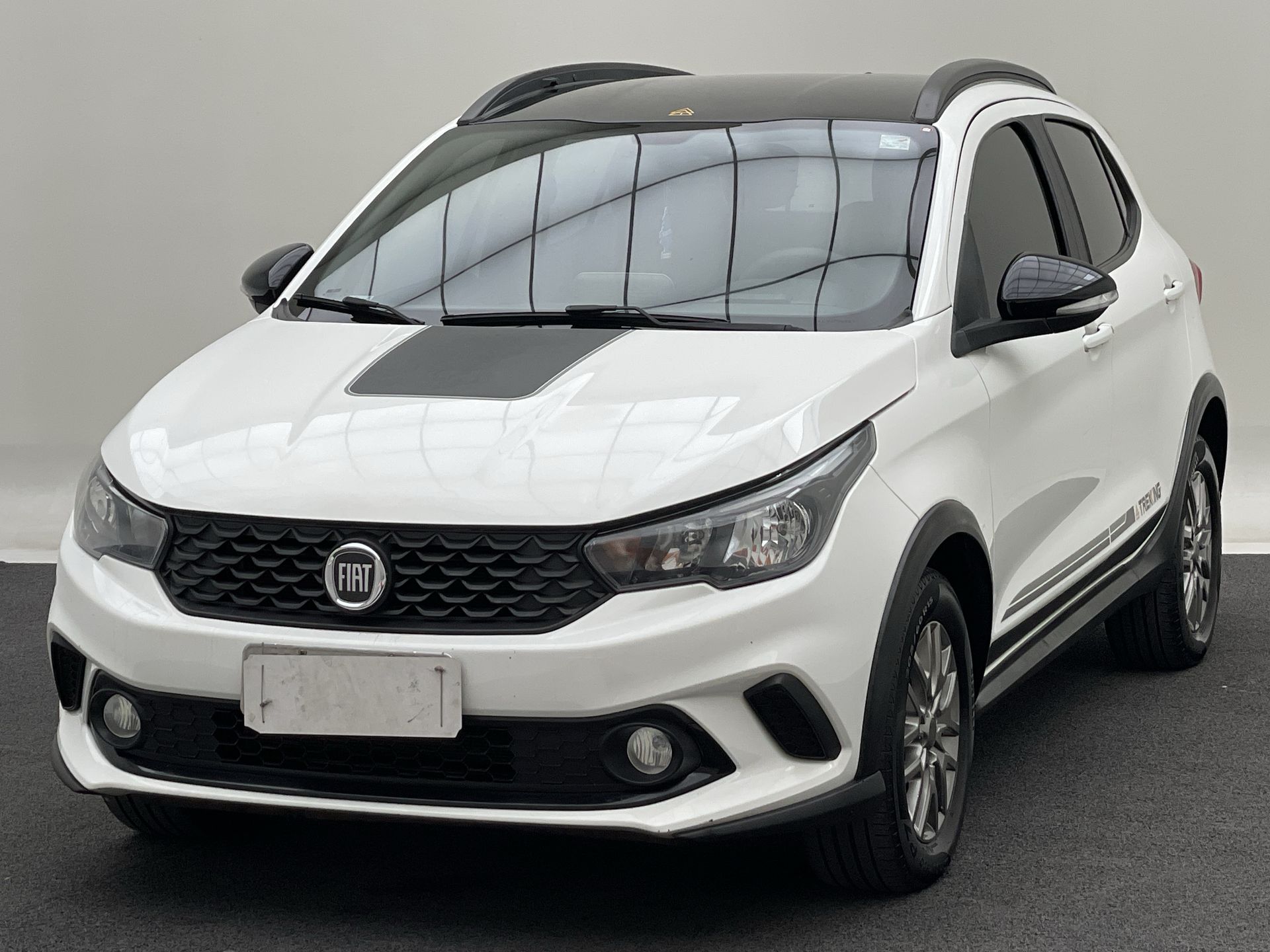 ARGO TREKKING 1.3 8V Flex