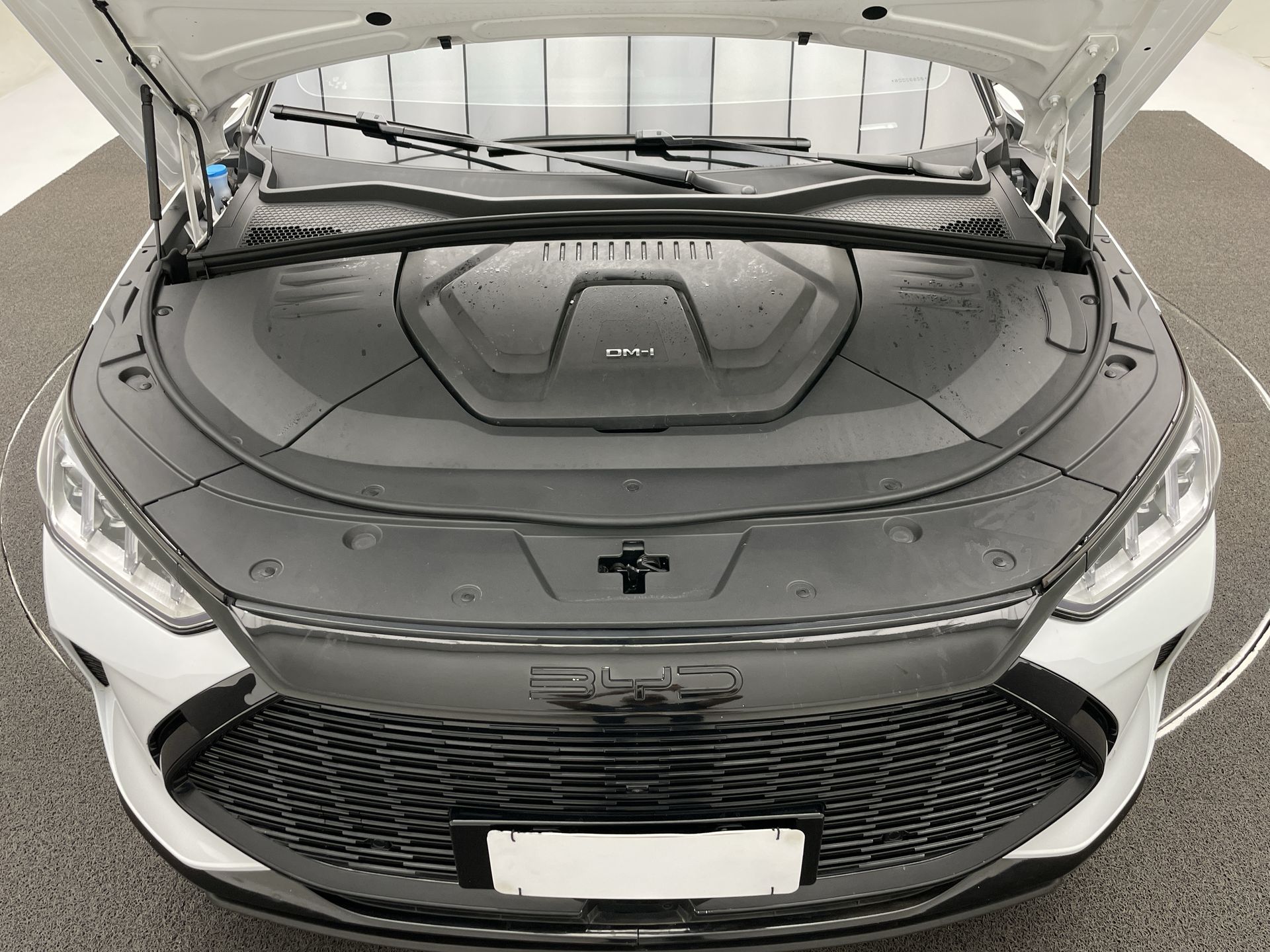 Song Plus 1.5 16V Aut. (Hibrido)