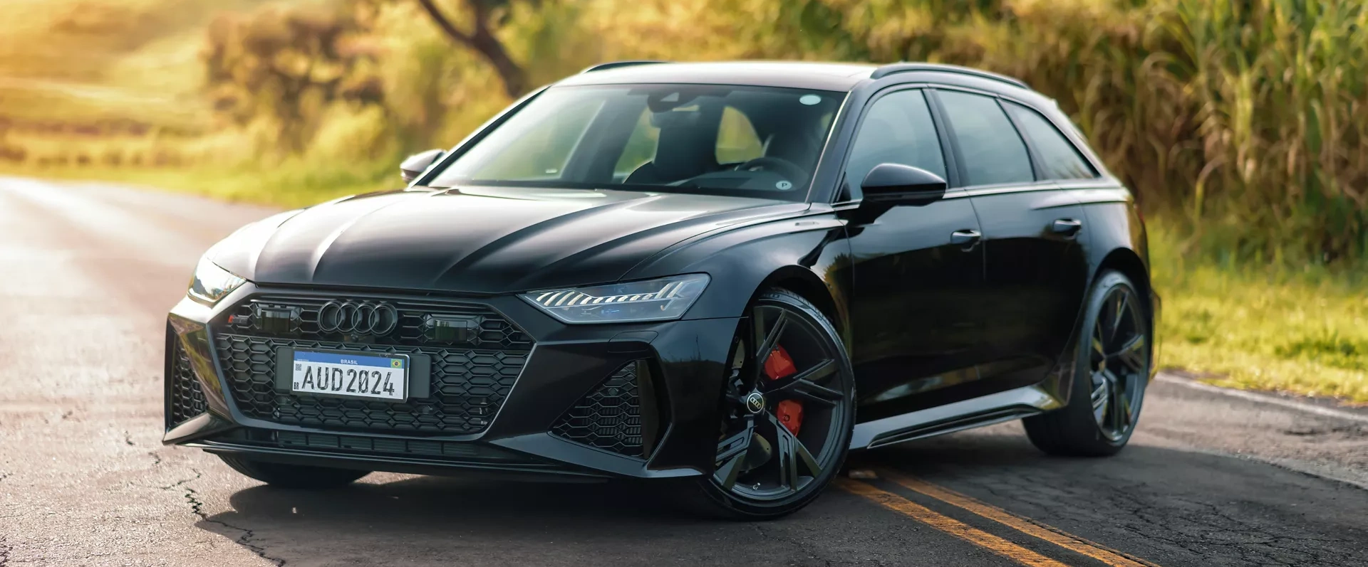 Modelo Audi RS 6 Avant Performance