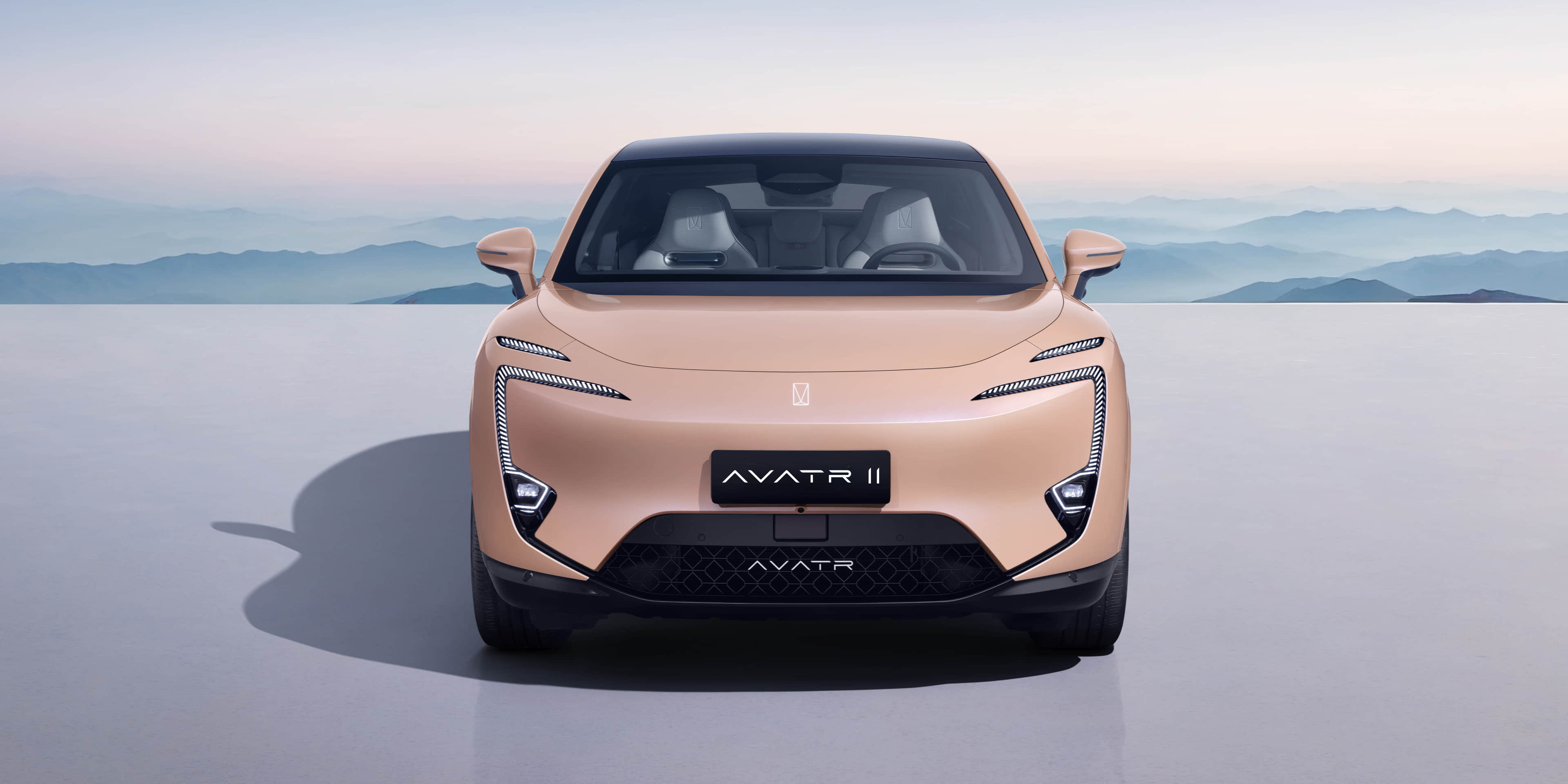 Design frontal único