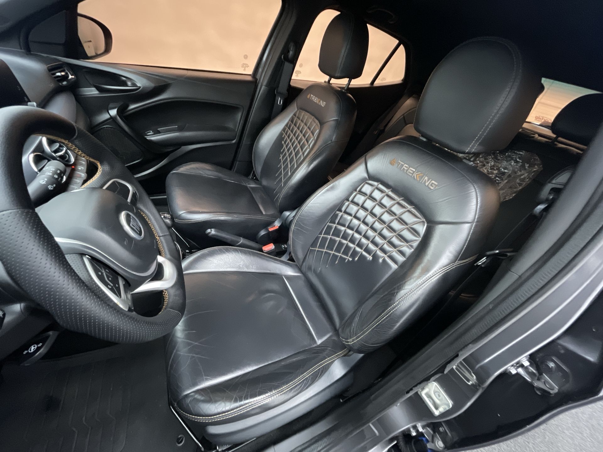 ARGO TREKKING 1.3 8V Flex