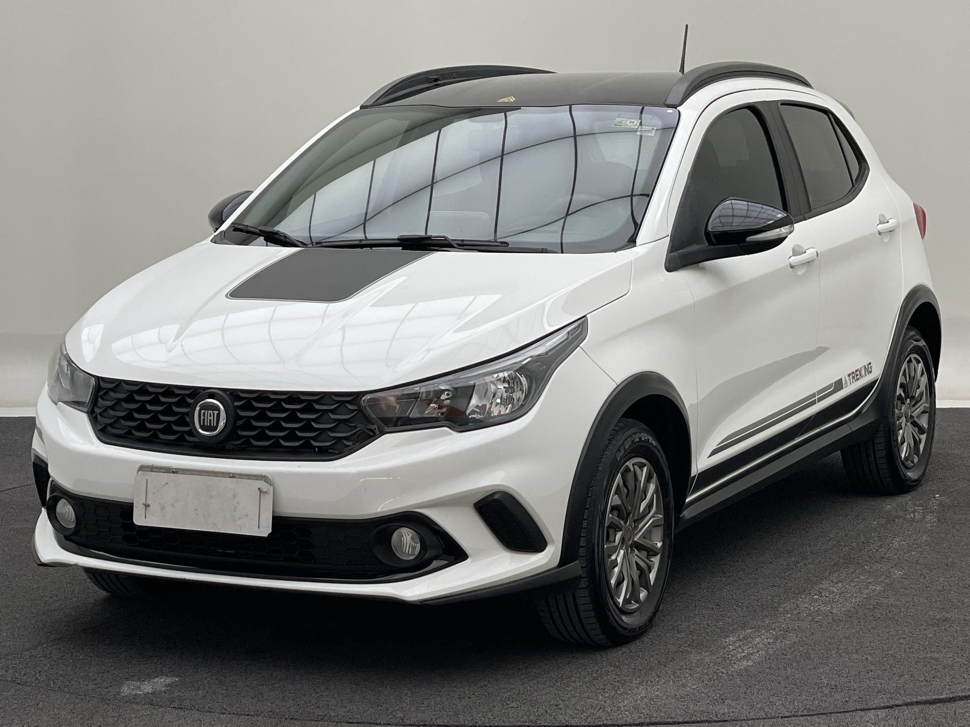 ARGO TREKKING 1.3 8V Flex