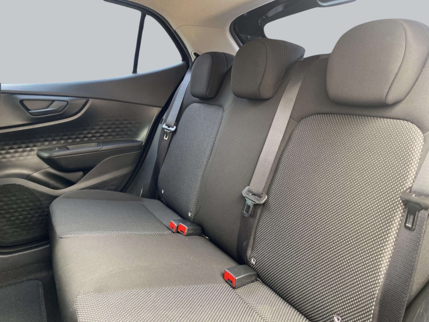 Fiat-PULSE-1.3 FLEX DRIVE MANUAL