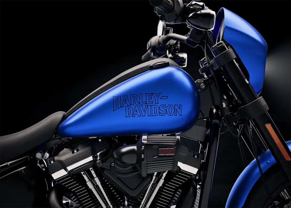 Pintura e grafismos premium