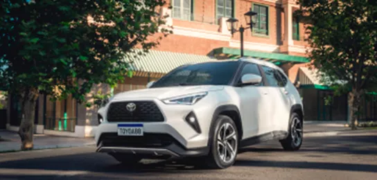 DIRIGIBILIDADE E PRESENÇA