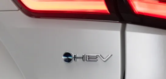 SISTEMA HÍBRIDO FLEX