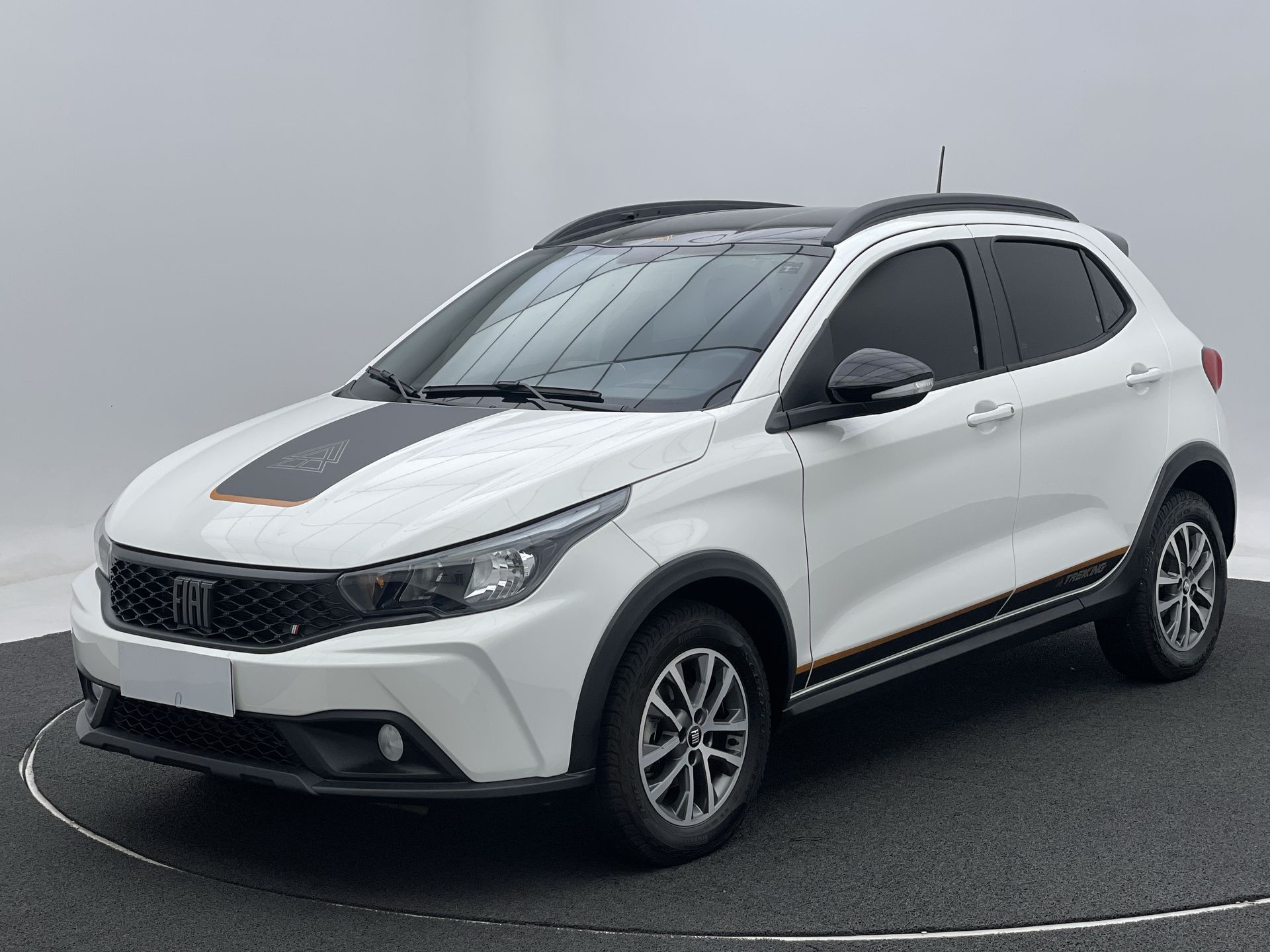 ARGO TREKKING 1.3 8V Flex Aut.