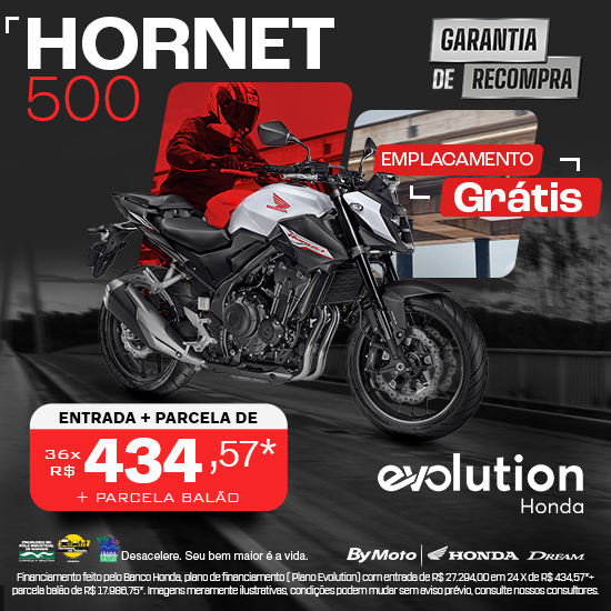 banner Hornet 500