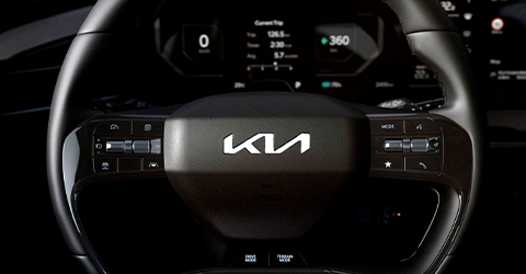 Volante Multifuncional