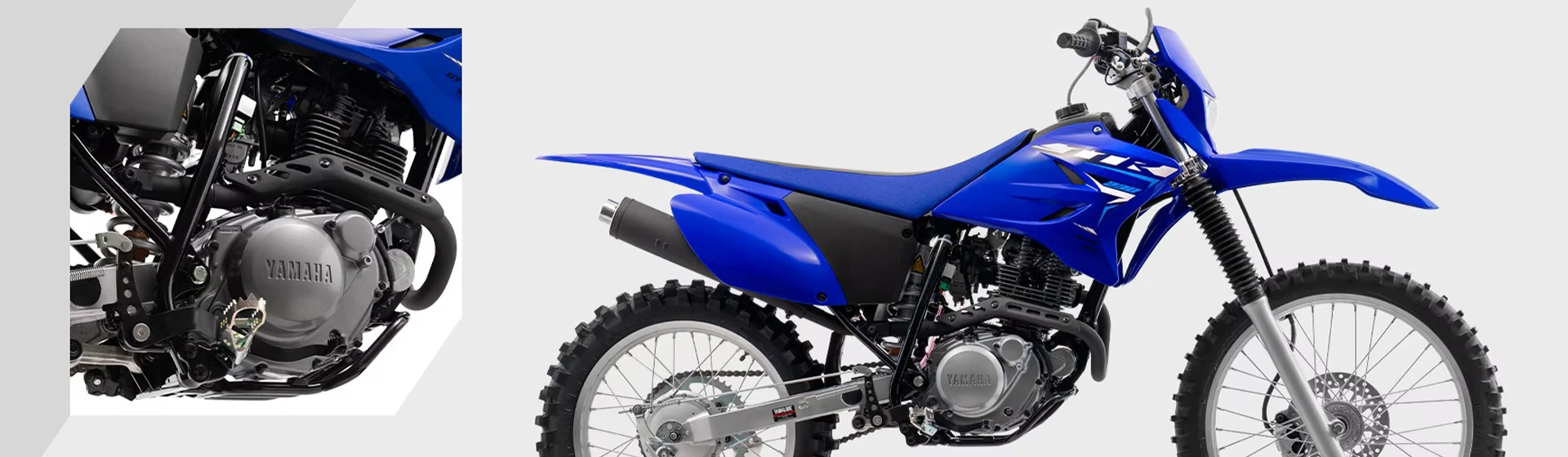 A diversão nasce aqui