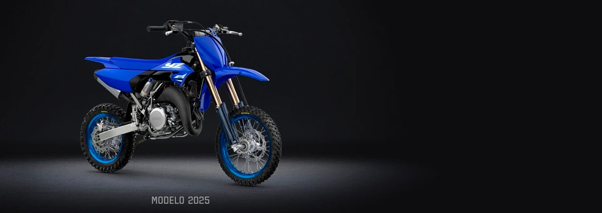 YZ65
