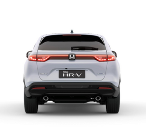 PROTETOR DE PARA-CHOQUE CENTRAL TRASEIRO DE BORRACHA