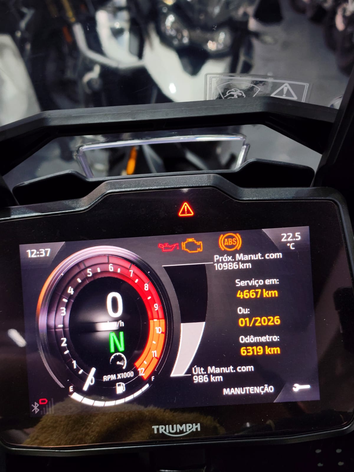 TRIUMPH-TIGER-TIGER 900 RALLY PRO