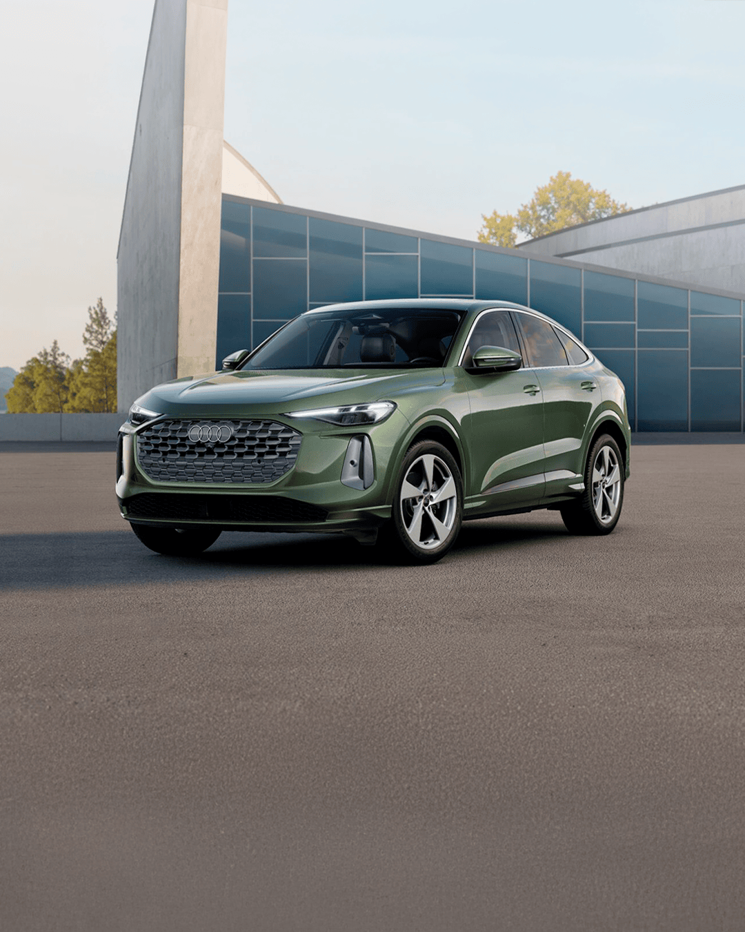 Q5 SPB Avanced 25/25