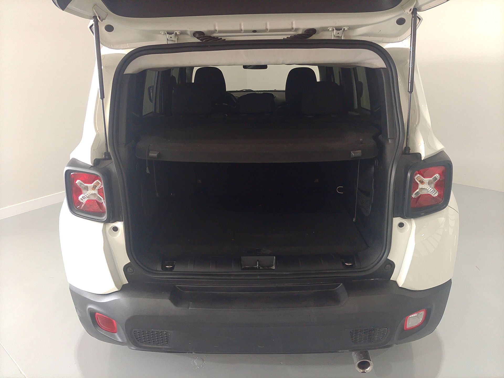 Renegade1.8 4x2 Flex 16V Aut.