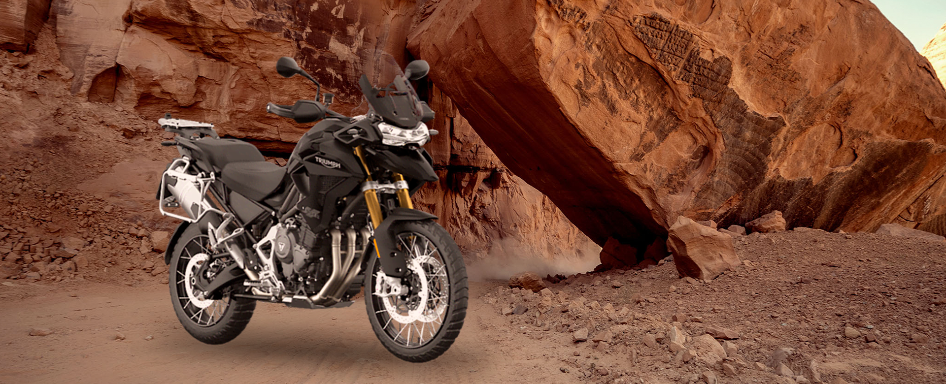 Tiger 1200 Black Edition