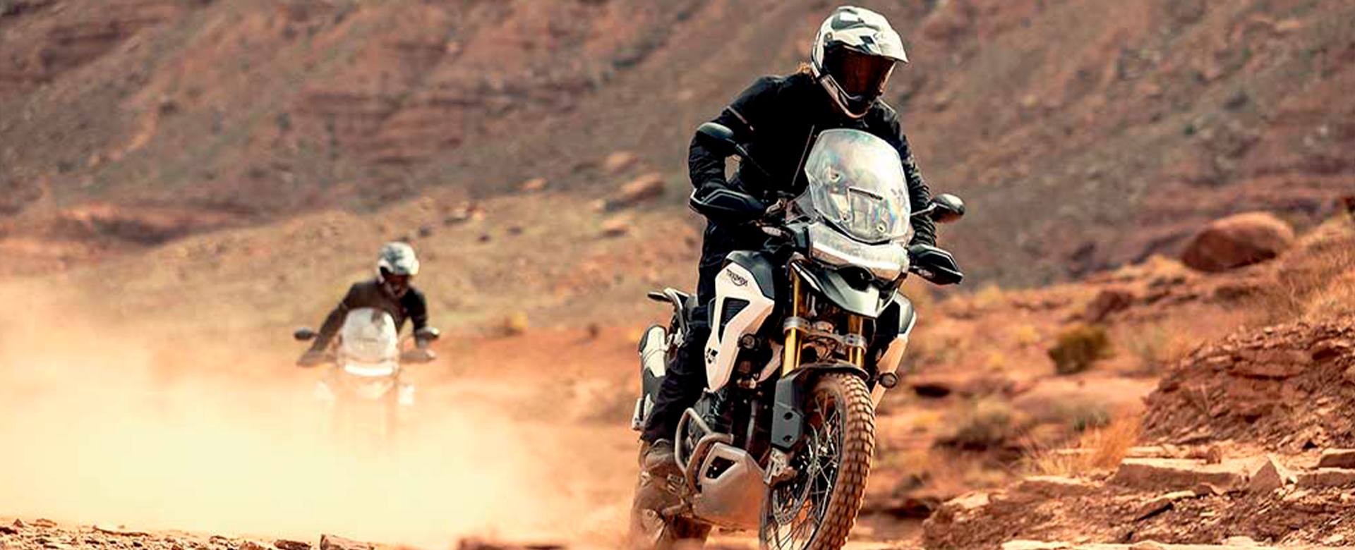 Tiger 1200 Rally Explorer