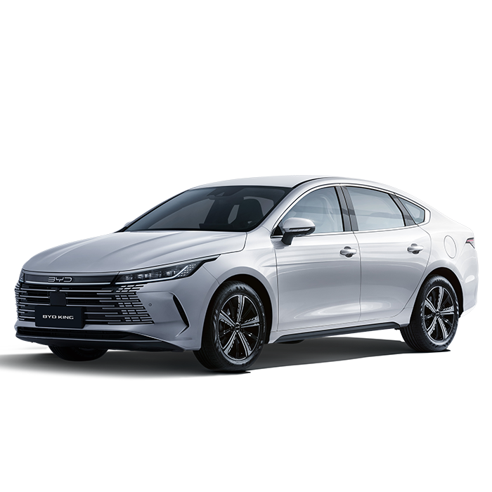 BYD KING GS 2026 (Cor: Snow White)