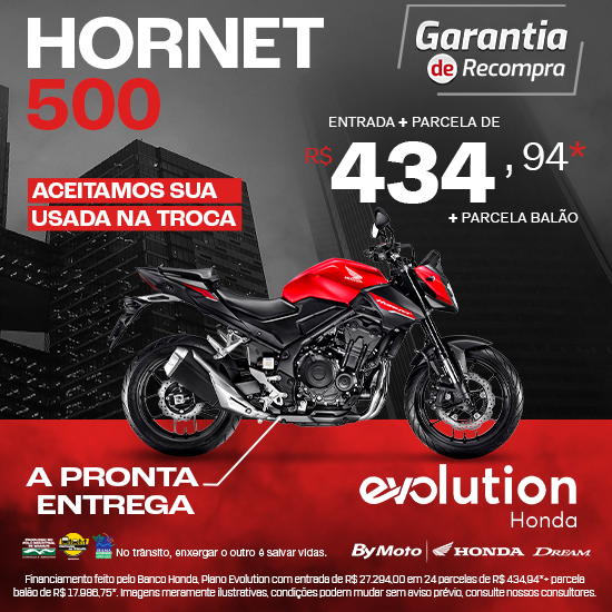banner Hornet 500