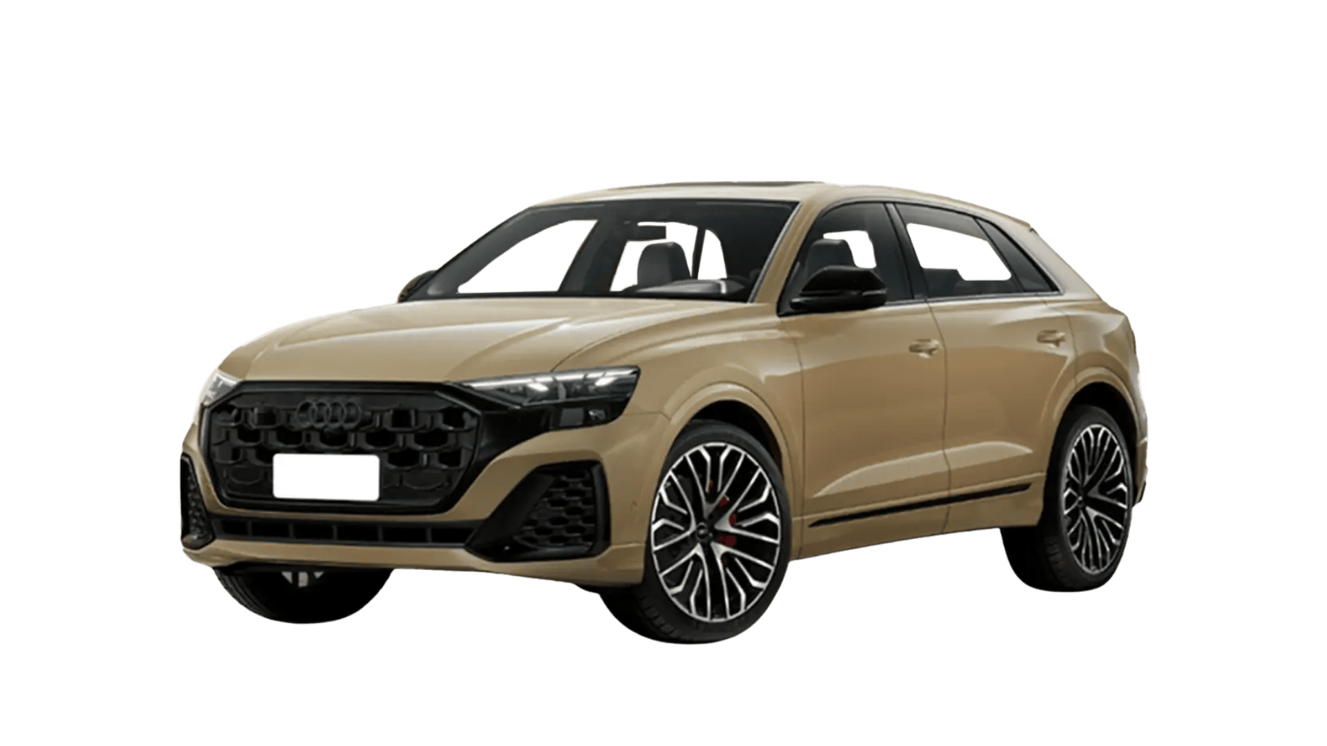 Q8 3.0 TFSI Performance Black 340 cv Tiptronic Quattro 25/25